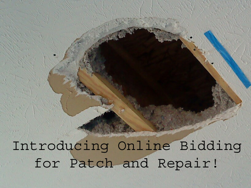 Patch and Repairs